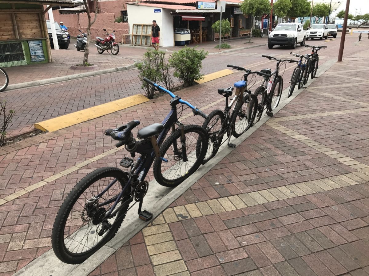 Many bicycles have a second seat behind the handlebars for a kid to sit