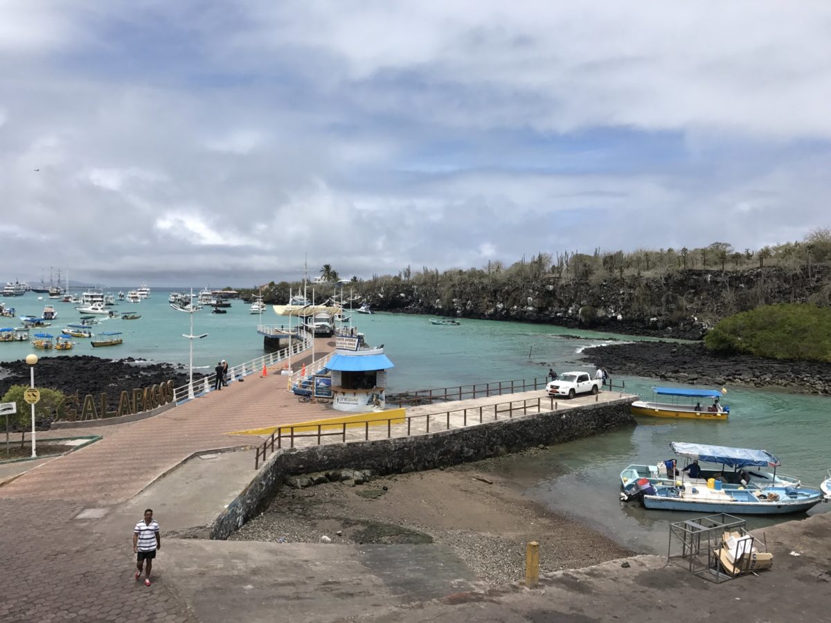 Boats in the harbor at Puerto Ayora