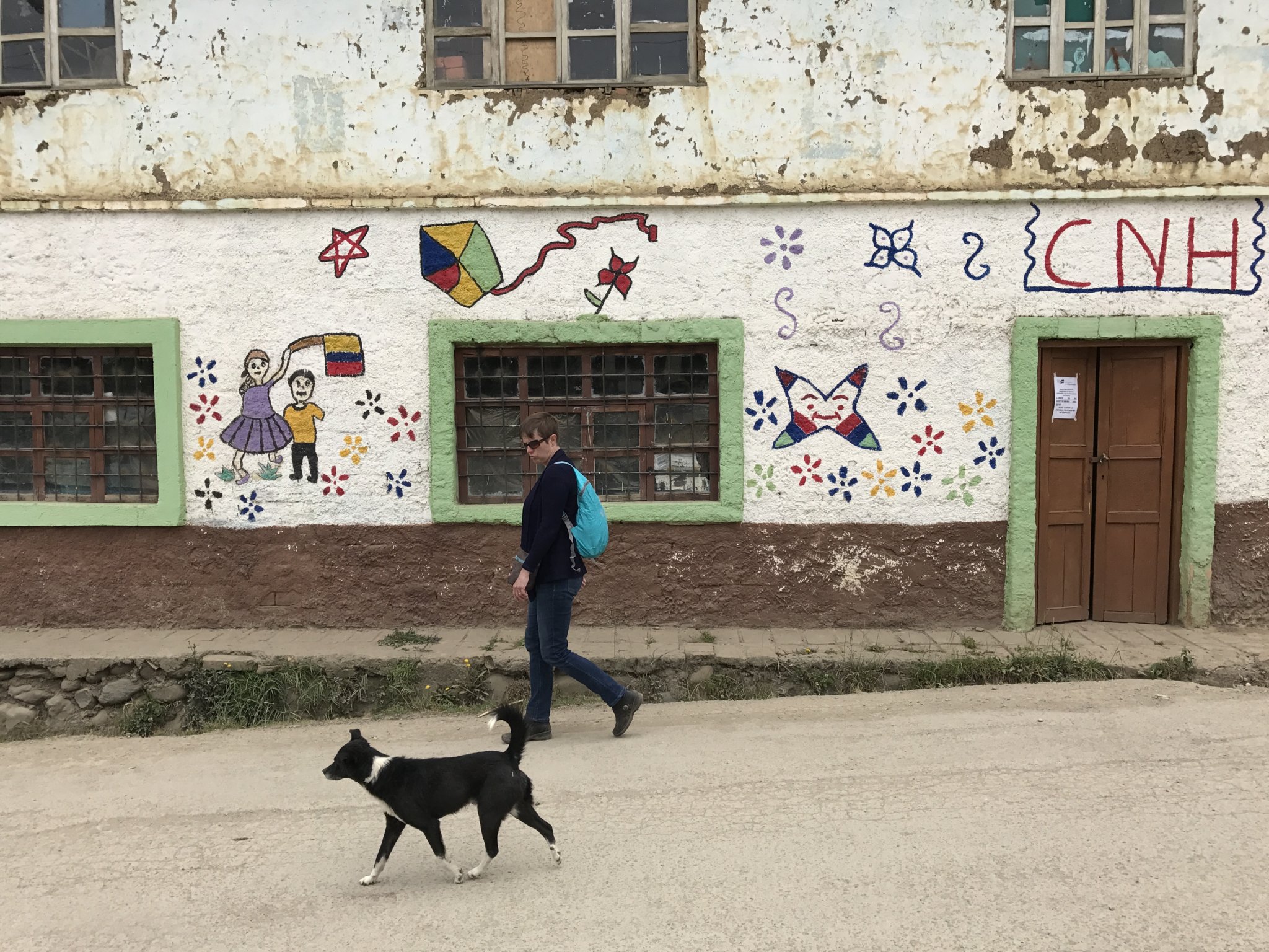 Our walks down the hill to the main road always meant dog encounters