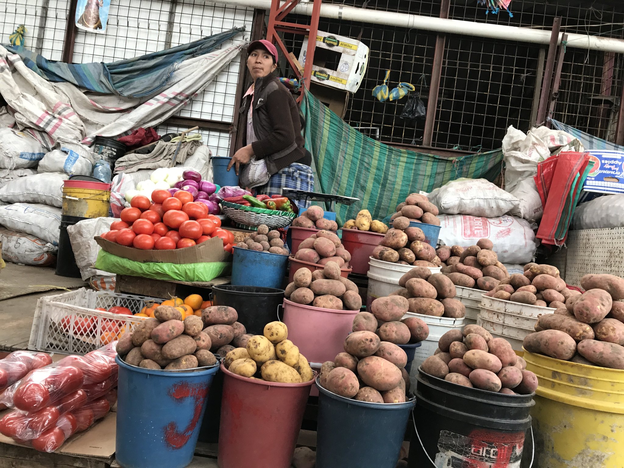 So many potato varieties at the massive Feria Libre market in the center of Cuenca