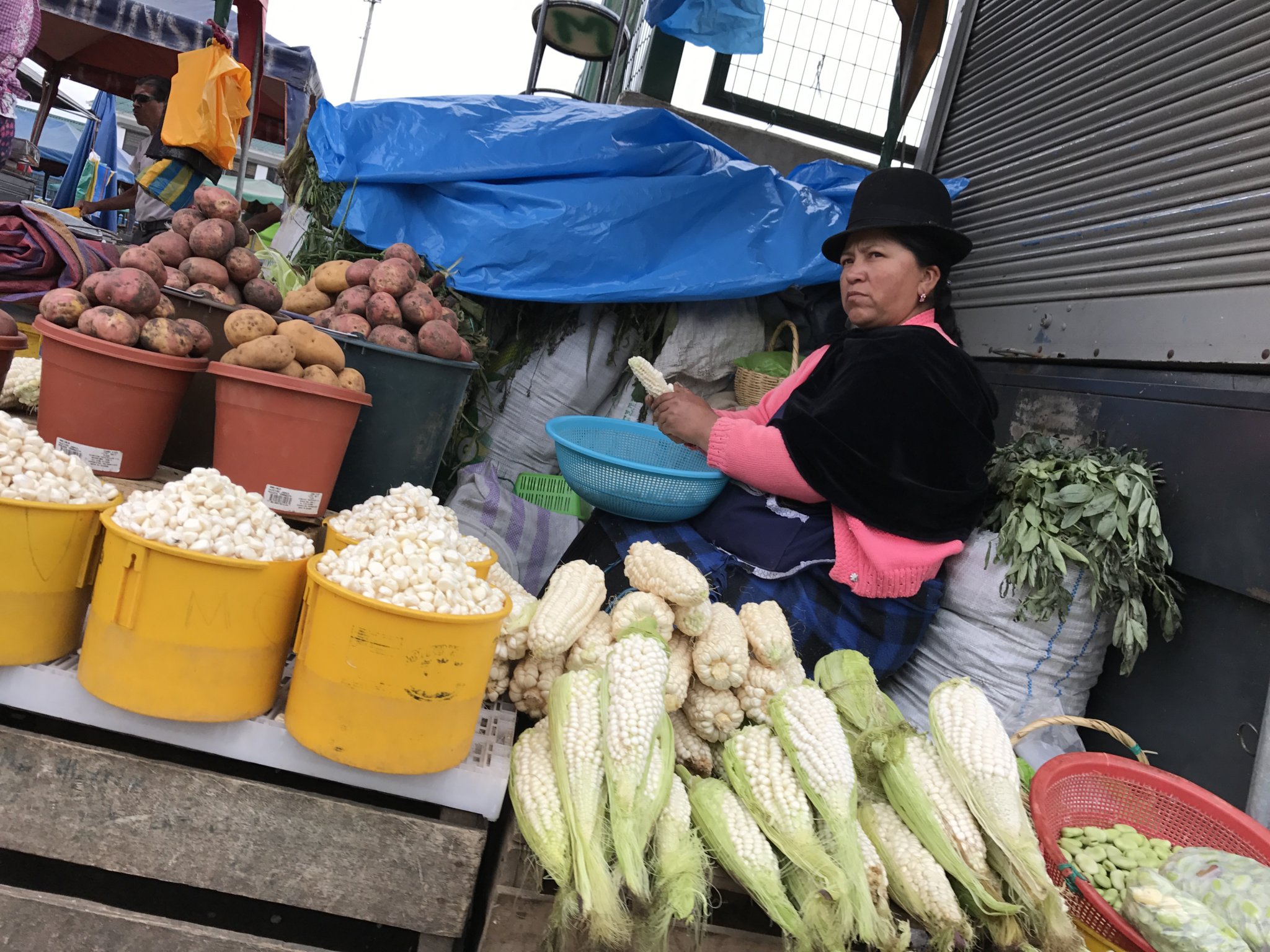 Choclo is a popular South American corn variety that's much bigger than its US relative - Feria Libre marker, Cuenca