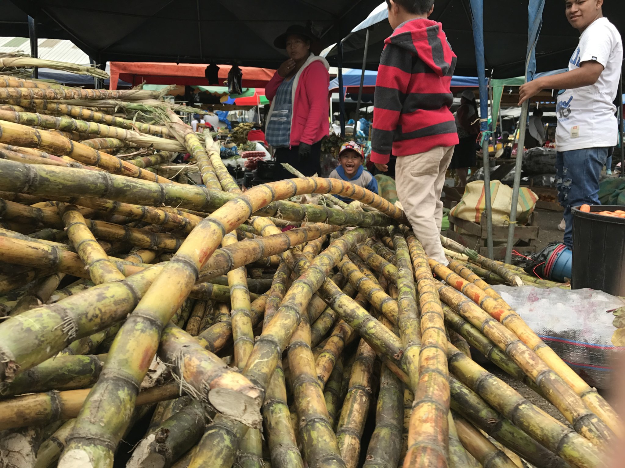 A pile of sugar cane makes a great play area - Feria Libre market, Cuenca