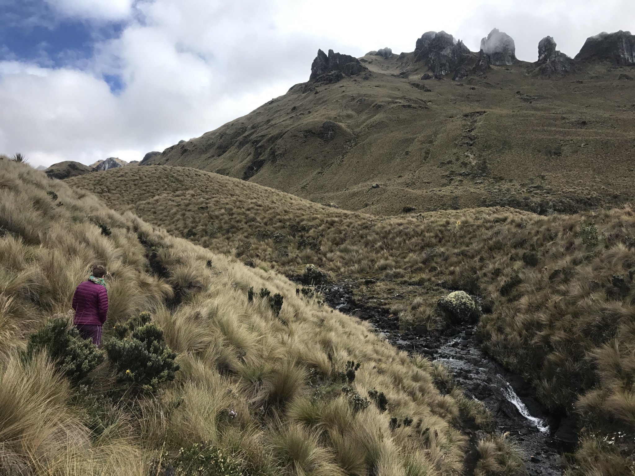 Our host Louis took us on a hike up the stunning Cajas Mountains