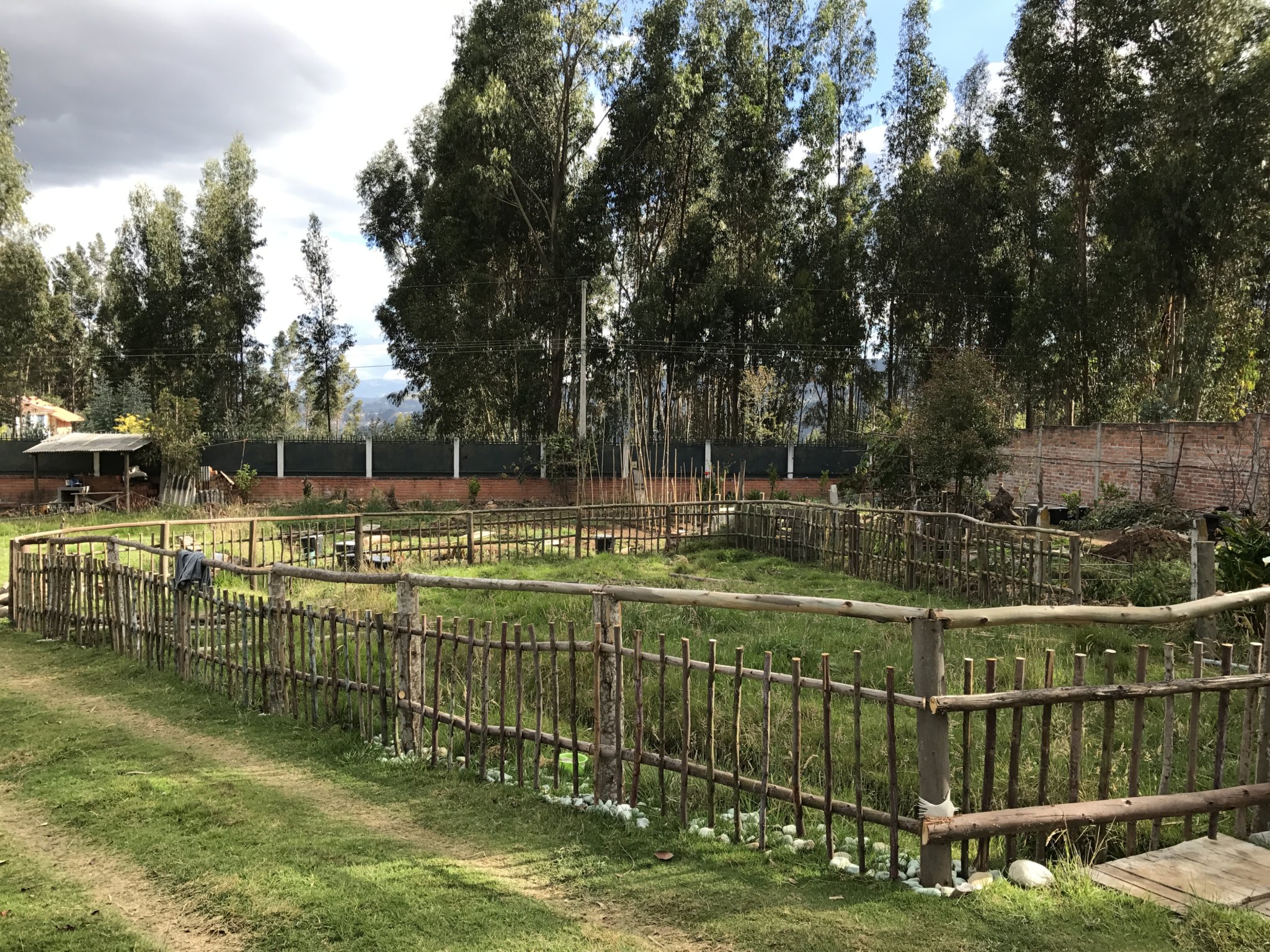 The eucalyptus goat fence pen in its almost-complete glory on our last day on the farm