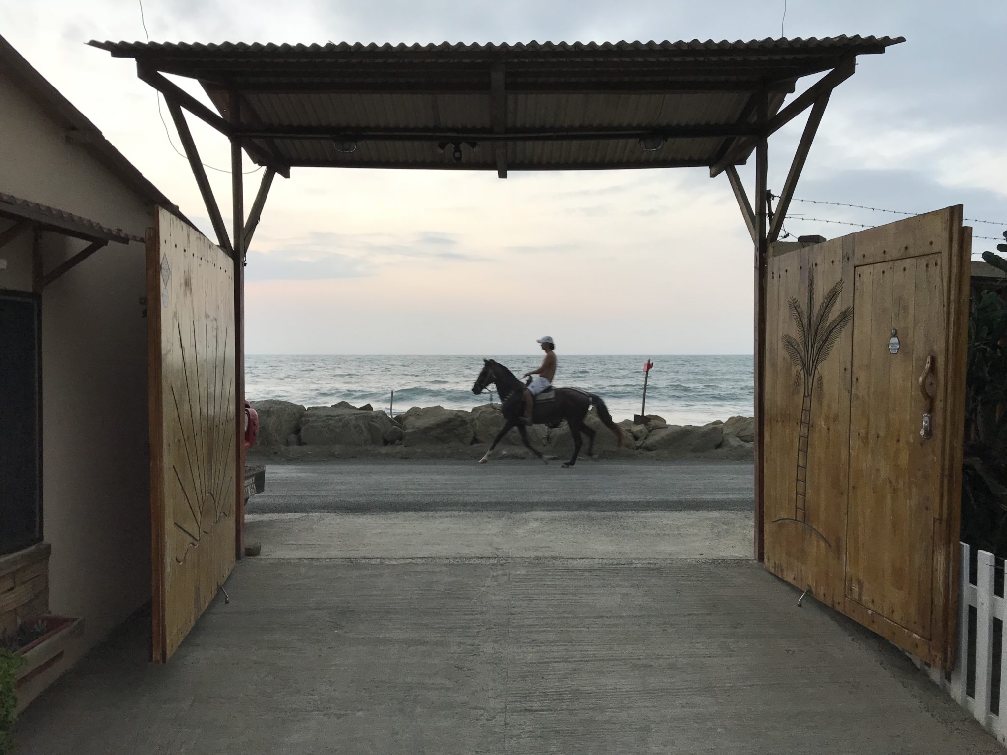 A horse trots past the front gate of the hotel