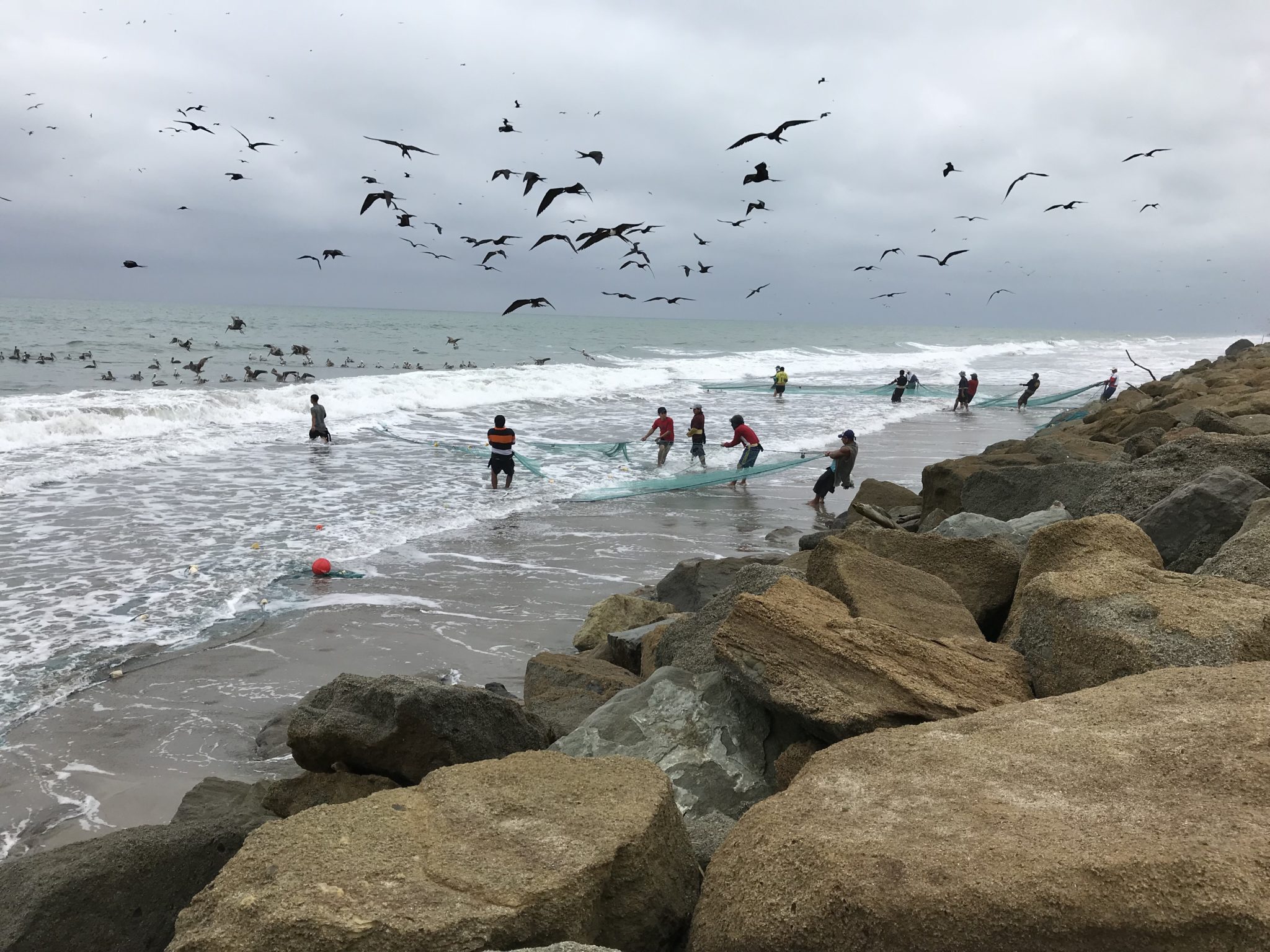 The arduous process of hauling in the fishing nets on San Alejo beach