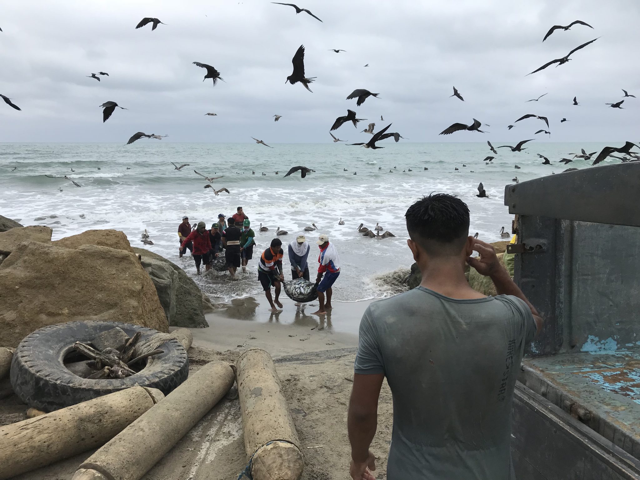 The catch makes it's way up to a waiting truck