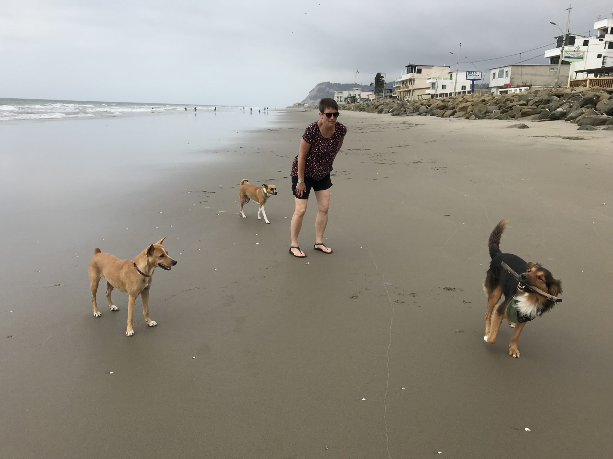 Leigh playing with Perry, Mama and Pulga on the beach in front of the hotel