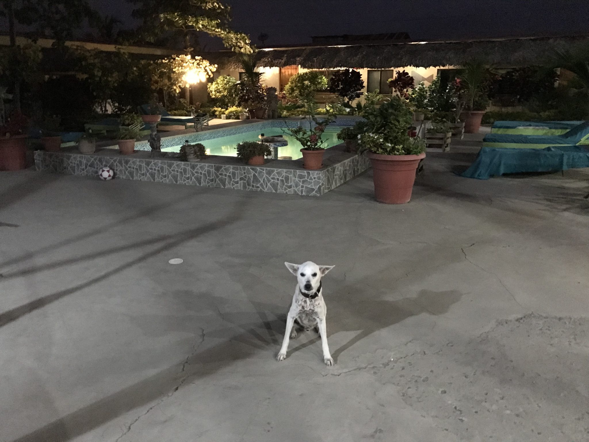 Toro - pool security