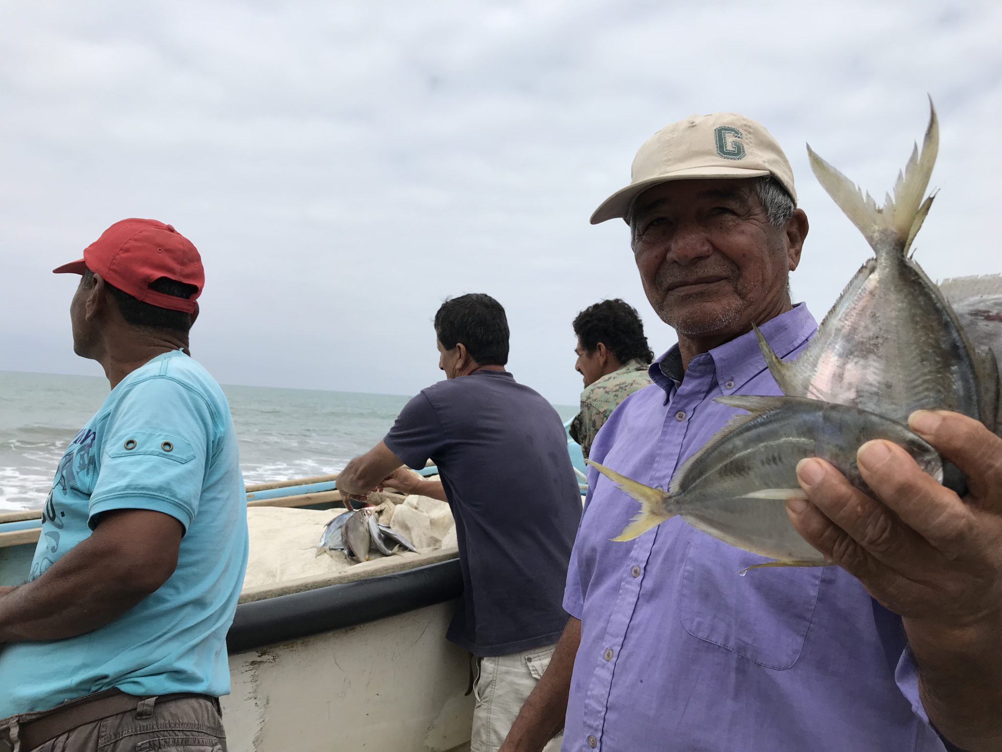 Fish from the afternoon's catch