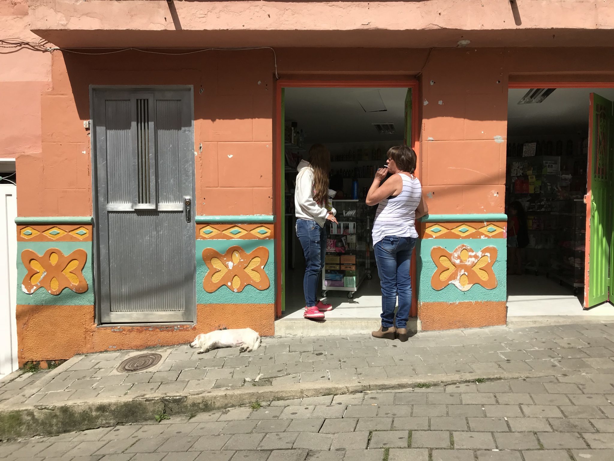 Zocalos and relaxed dog in Guatapé