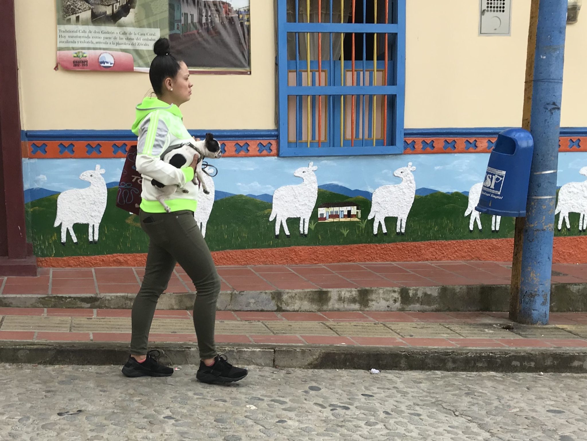 Woman with dog and sheep zocalos in Guatapé