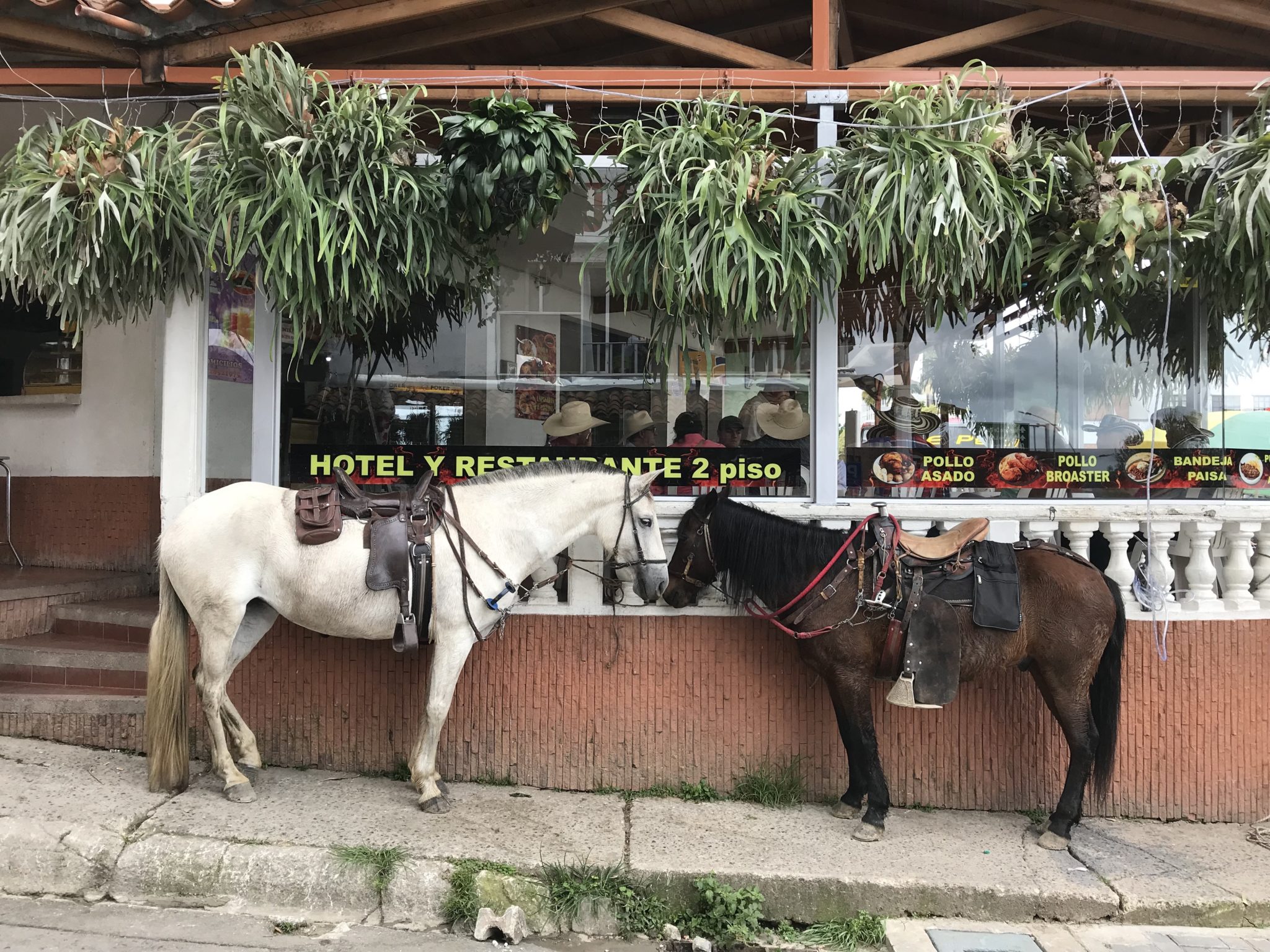 Cowboys park their horses outside a restaurant in El Peñol