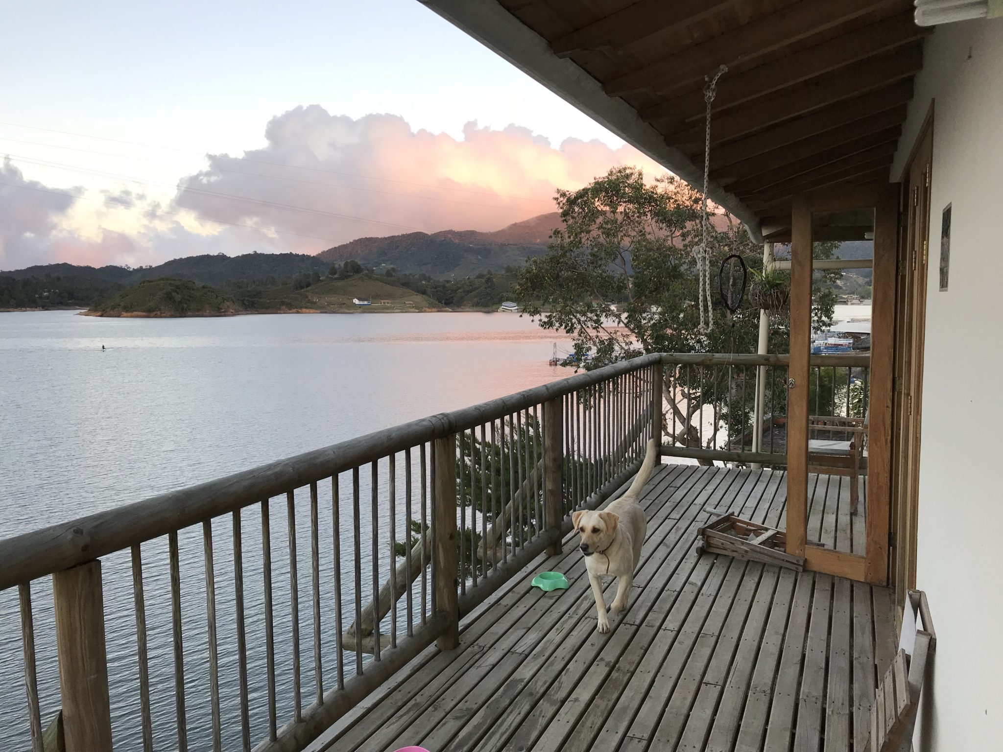 Bella enjoys a lovely sunset over the lake