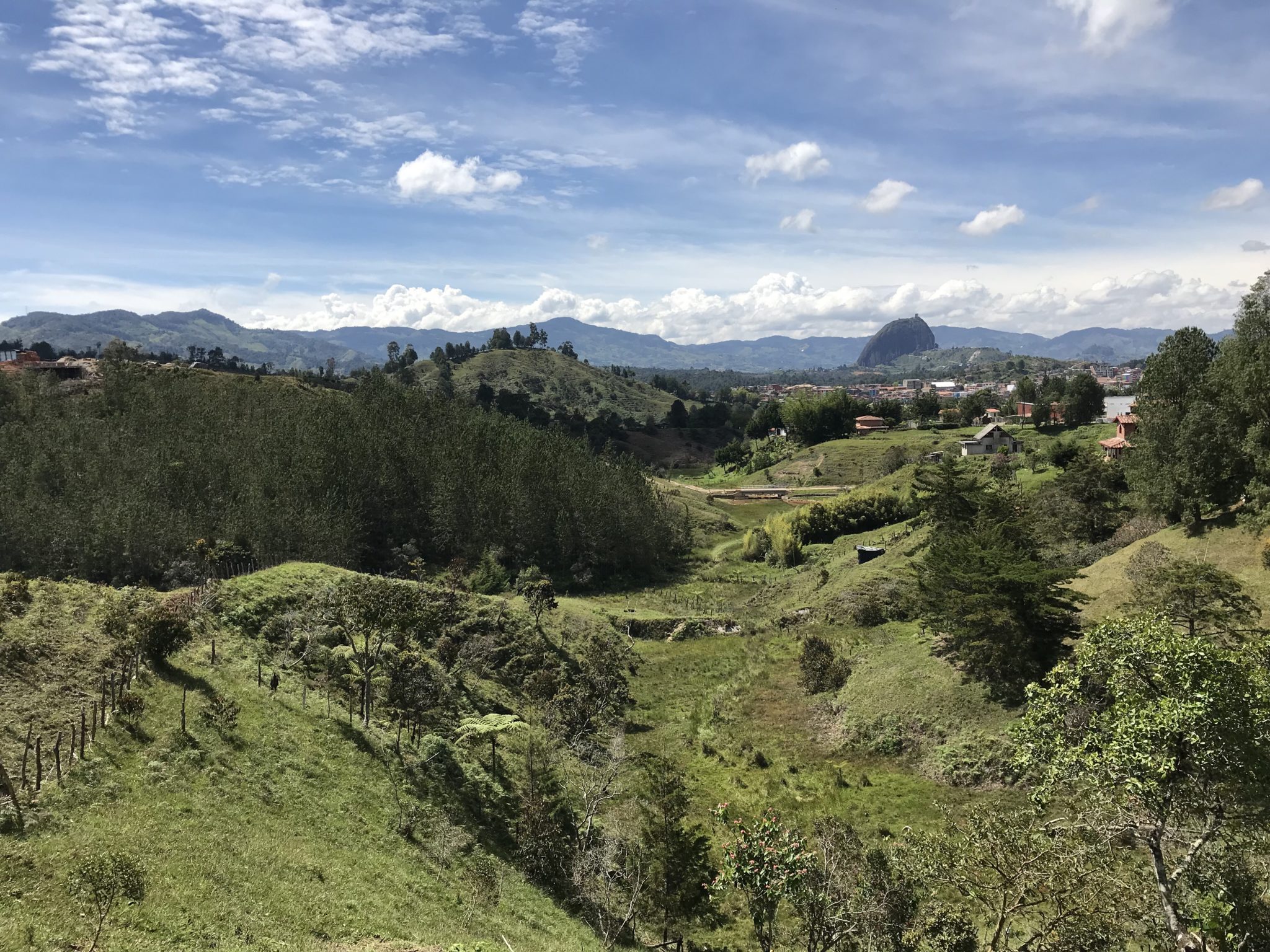 A view of El Peñol in the distance while walking the dogs