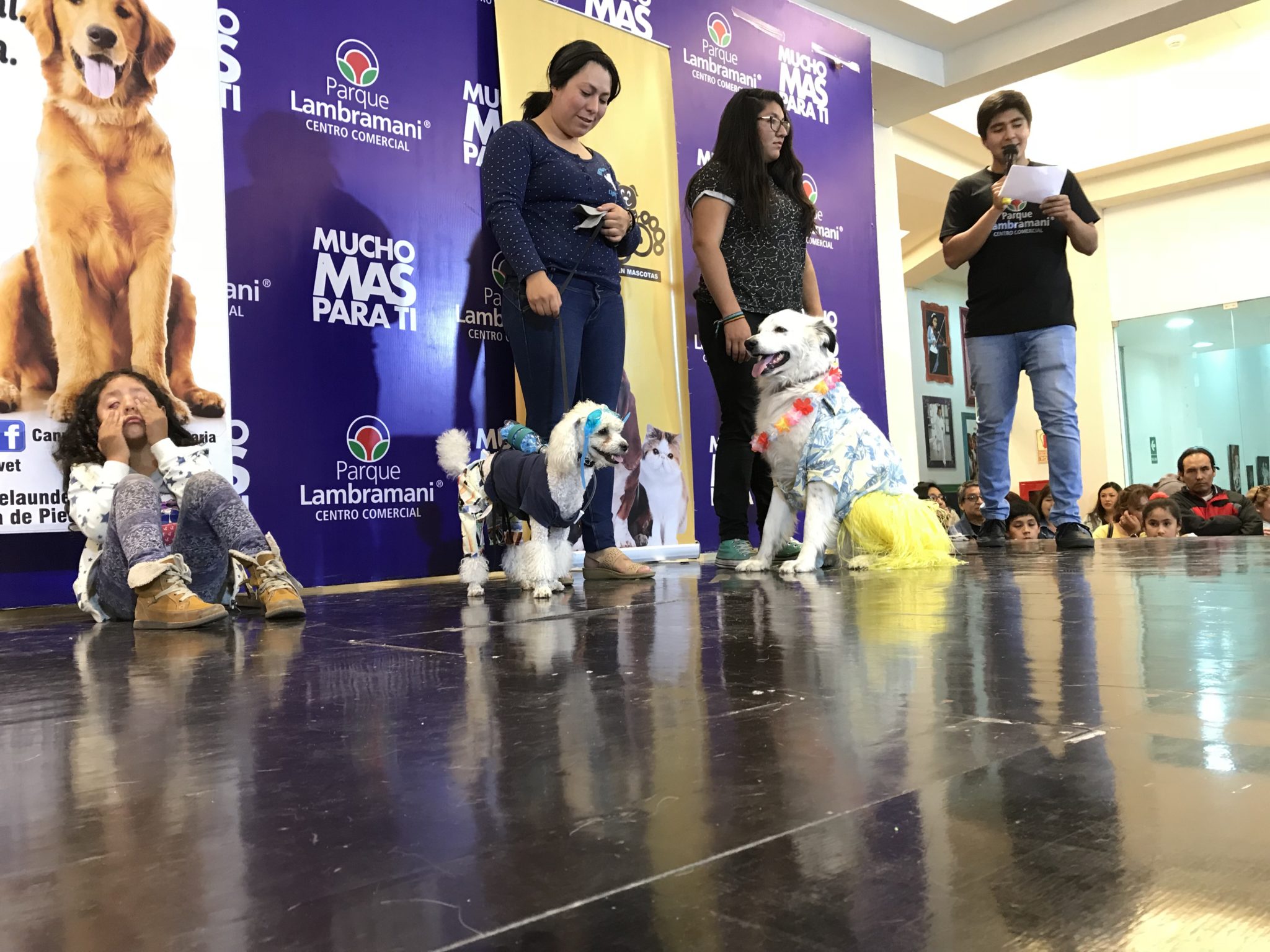 Losing patience with the dog costume contest, Arequipa, Peru