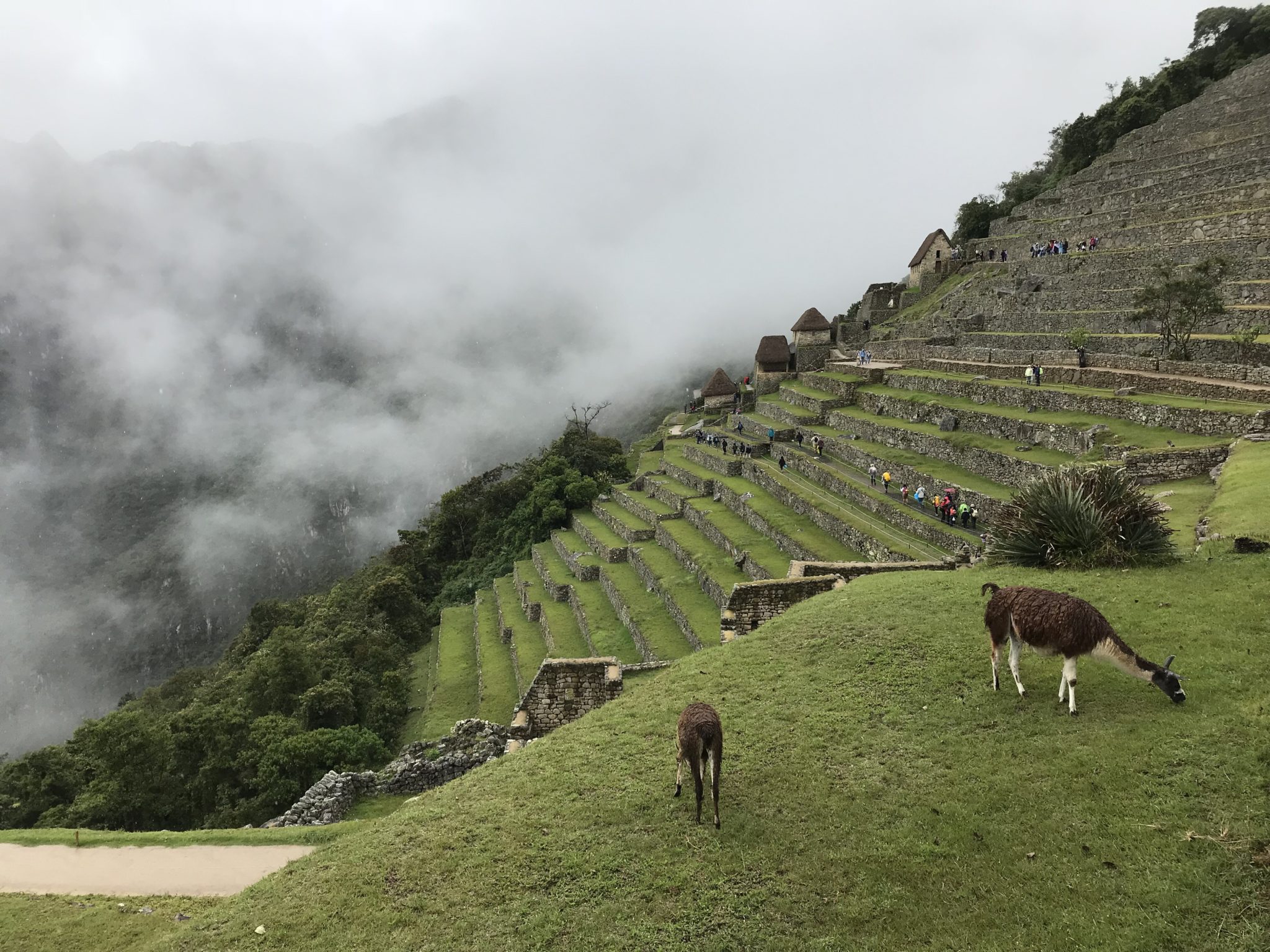 Moody, Machu Picchu, Peru