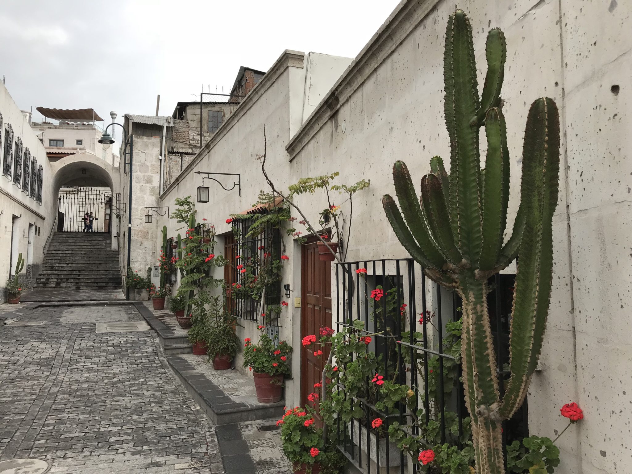 Tambo, Arequipa, Peru